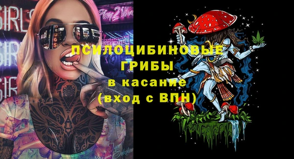 дурь Белоозёрский